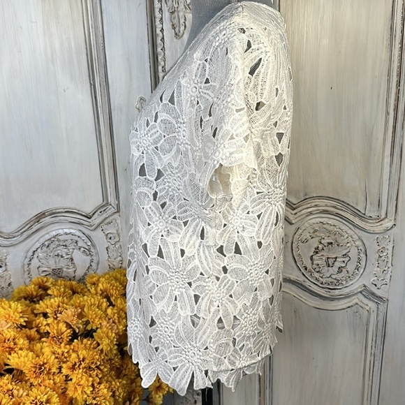 Japna Cotton Blend Heavy White Lace High Neck Short Sleeve Top Size Size Med - Picture 4 of 10